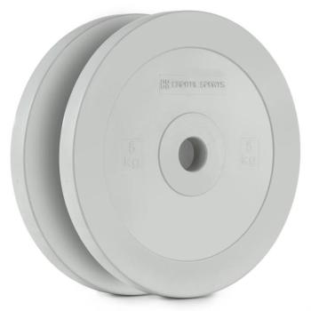 Capital Sports Methoder, tárcsasúlyok, gumi, pár, 2,5 kg, szürke kép