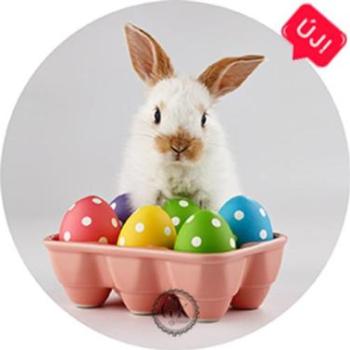 Nyuszi pöttyös tojások között tortaostya kép