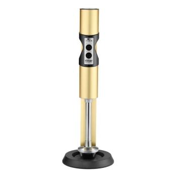 RITTER Vertico 7 Botmixer (628.072) kép